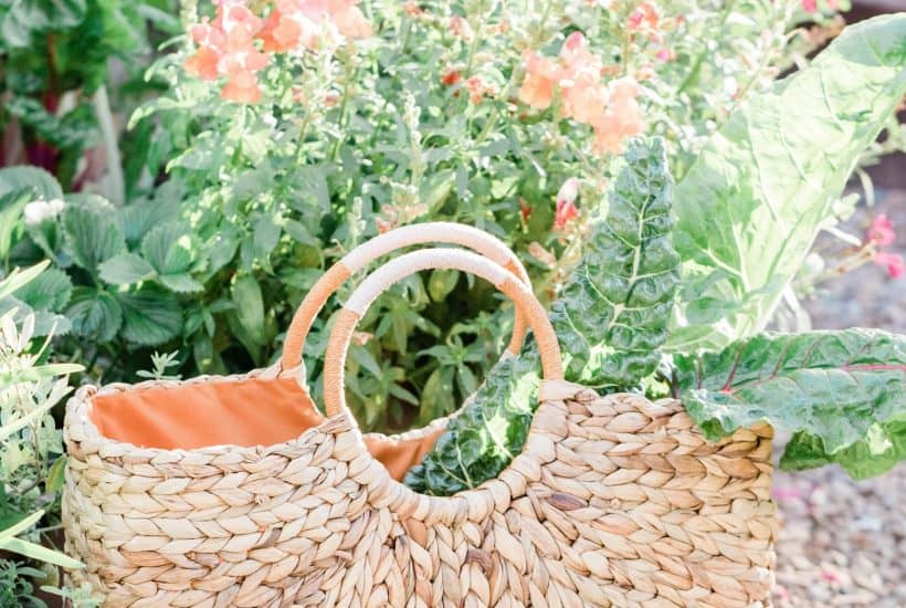 A woven basket