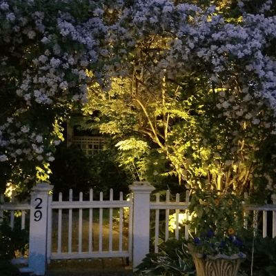 Garden gate at moonlight