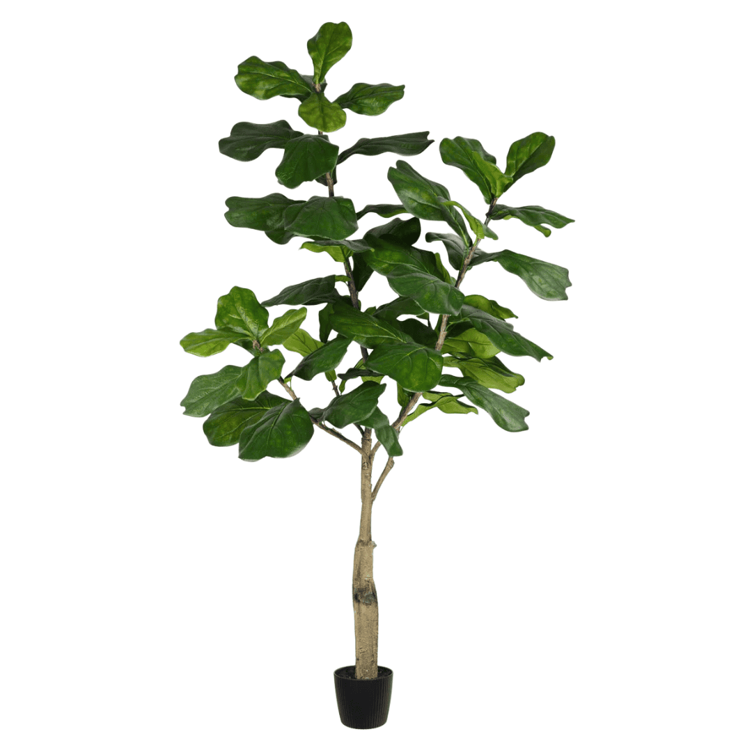 Artificial fiddle leaf fig tree in black planter for interiors