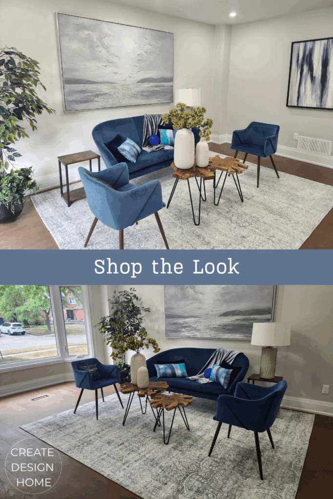 Elegant Blue Living Room