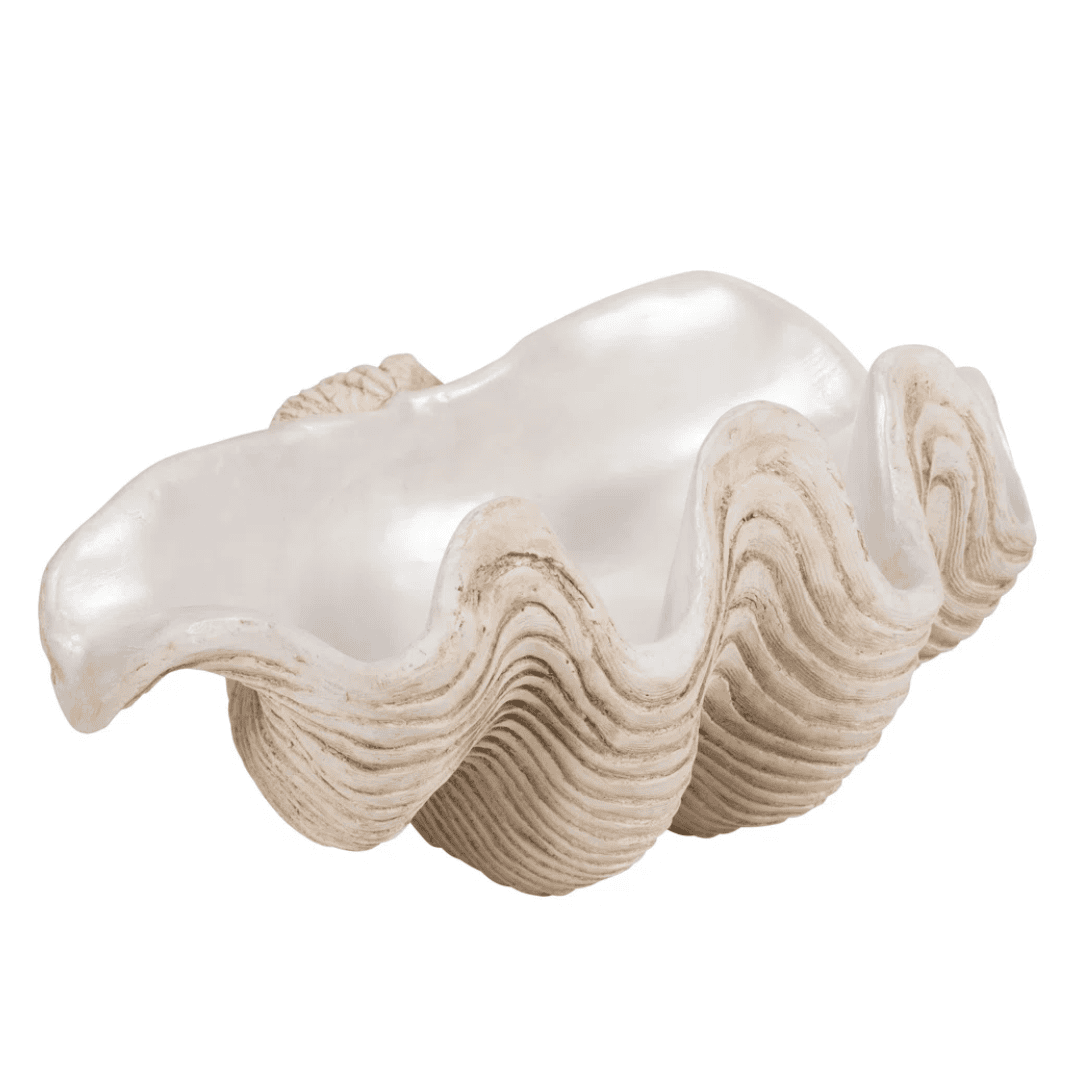 Sculptural clamshell bowl creates an organic coastal focal point.