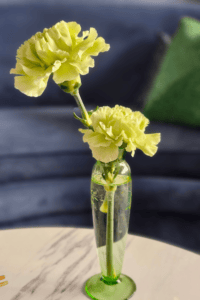 Single flower in a small vase representing Ma, the Japanese philosophy of space, simplicity, and restraint.