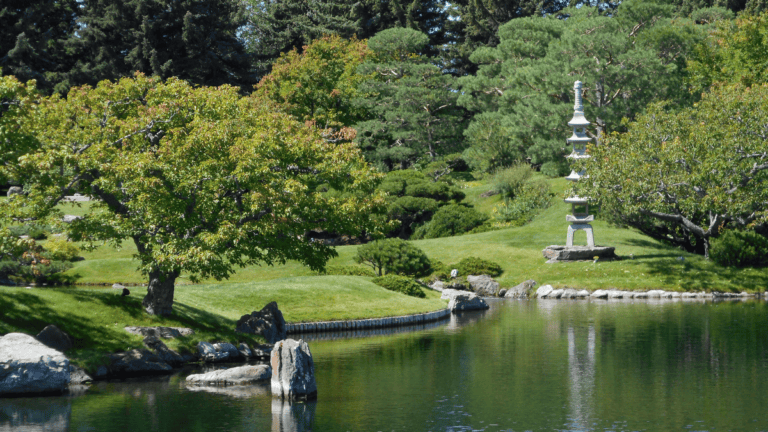 Quiet garden landscape reflecting Ma, the Japanese philosophy of intentional space, stillness, and visual calm.