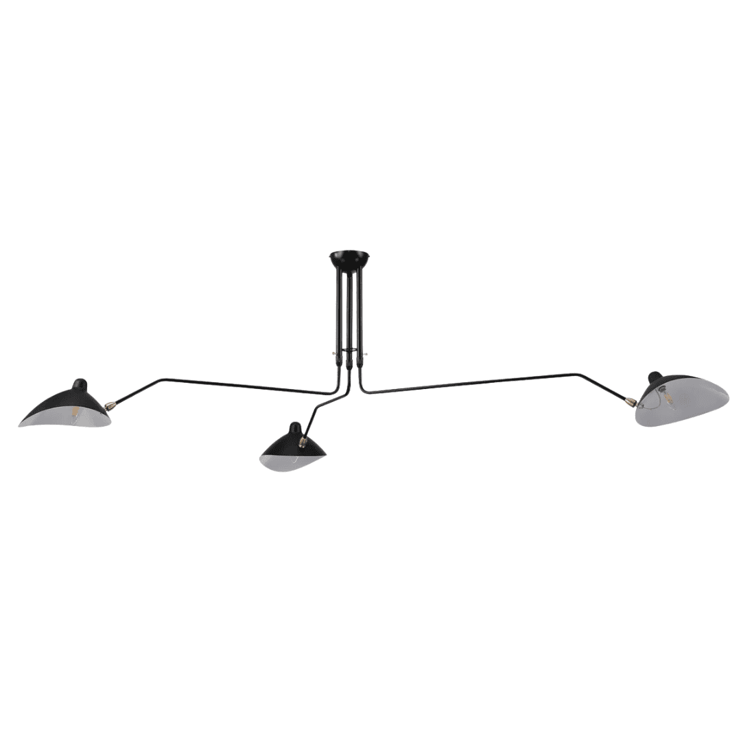 Light Fixture Adjustable black ceiling fixture with architectural impact.