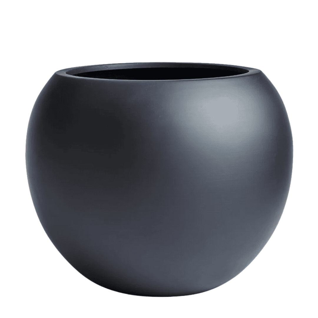 Planter Matte black planter grounds the space with quiet weight.