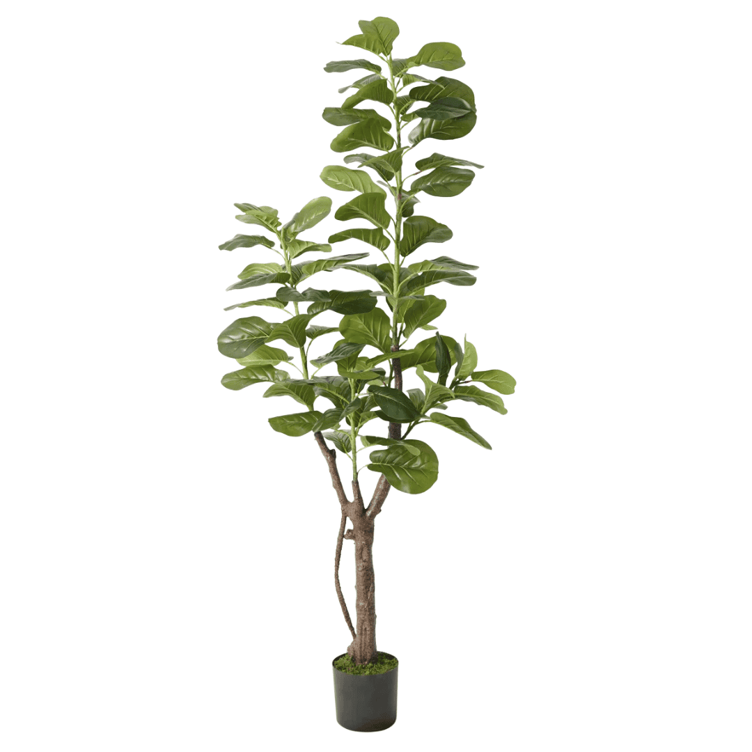 Faux Tree Tall fiddle leaf fig adds height and softness.