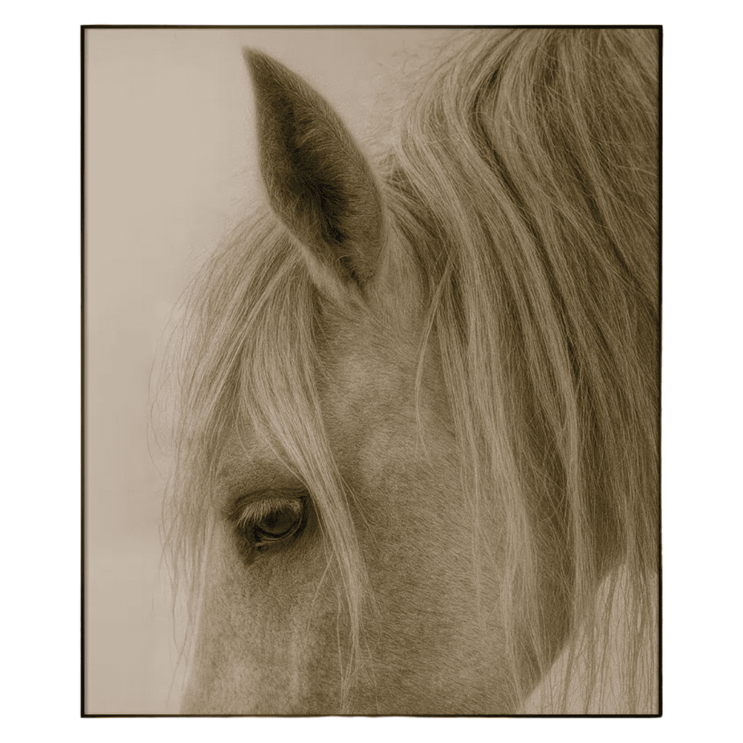 Equine Decor in Interior Design Large-scale horse fabric wall art with minimalist contemporary styling