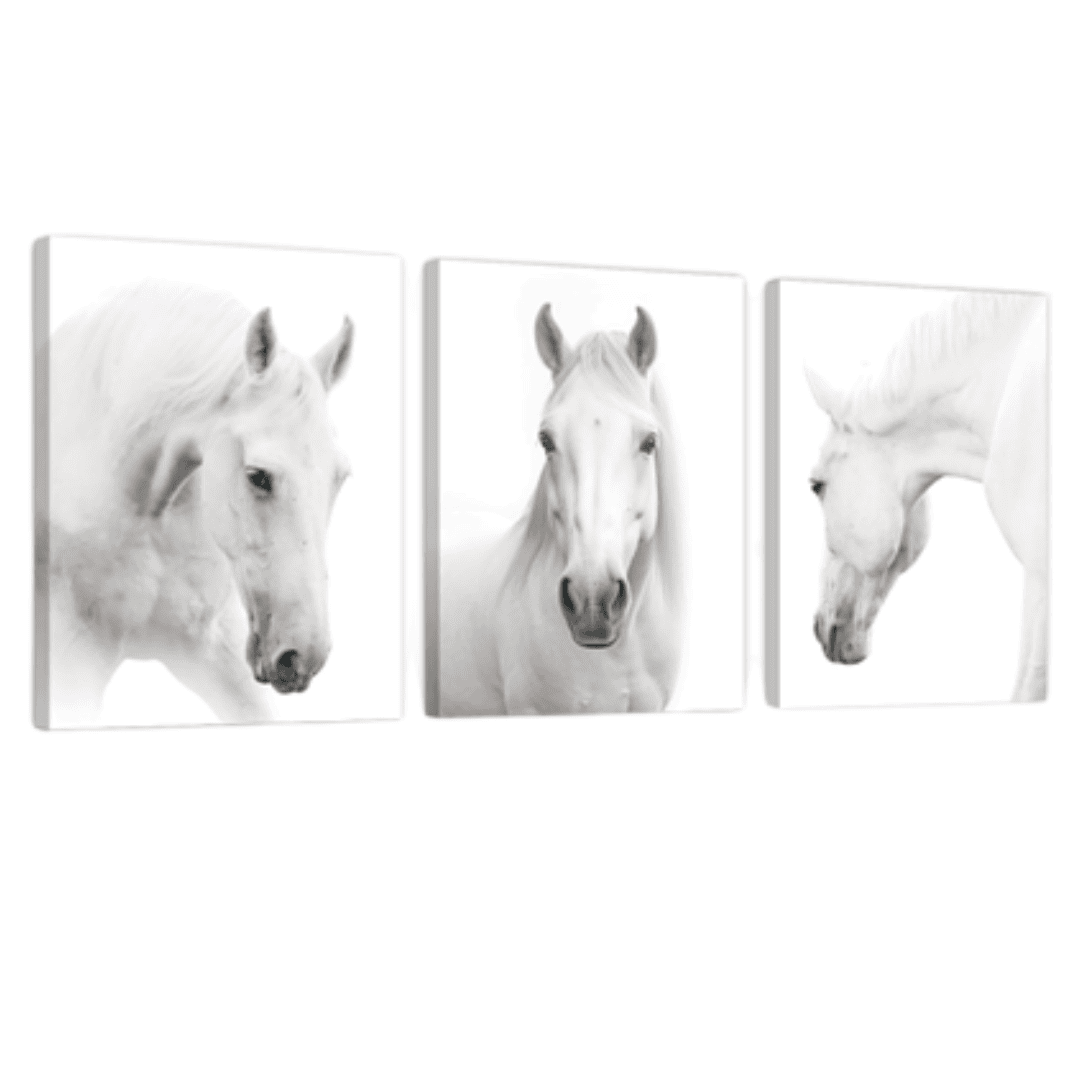 Set of three white horse black and white wall art prints