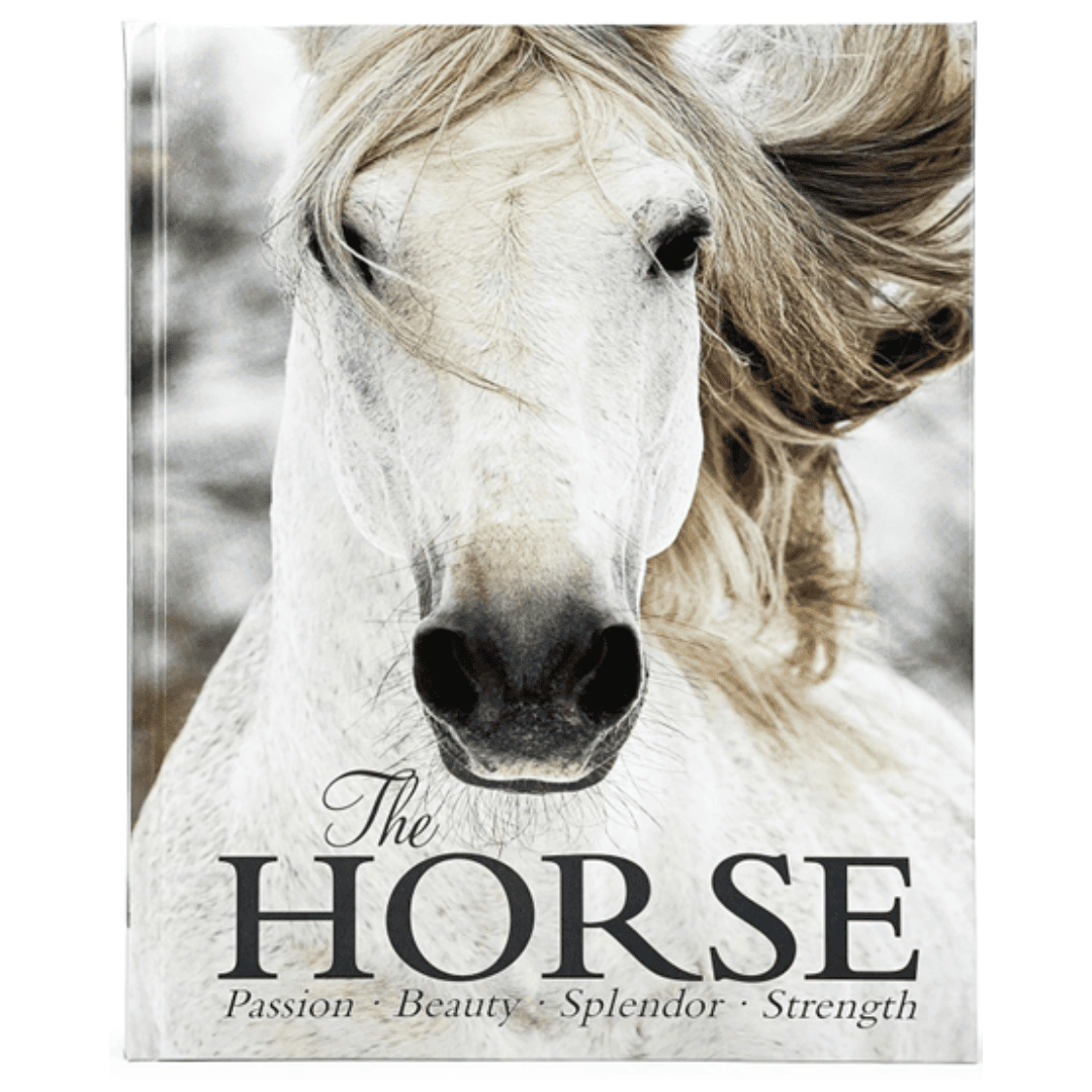 Horse photography coffee table book cover