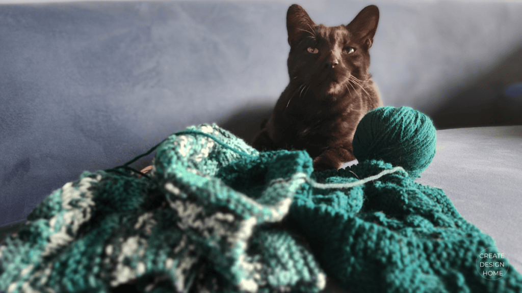 Black cat resting on a textured green blanket representing Ikigai, reason for being and the quiet comfort of everyday life.