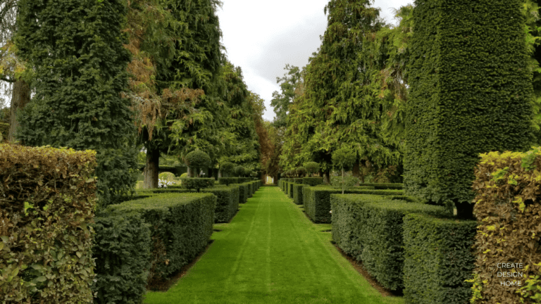 Carefully maintained garden pathway reflecting Kaizen, continuous improvement through patience and steady care.