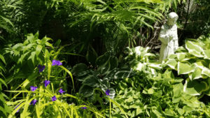 Lush garden pathway reflecting Mushin, calm focus, and the quiet clarity found in nature.