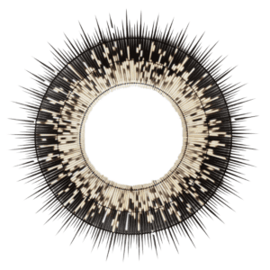 Round handcrafted wall mirror framed with naturally shed porcupine quills