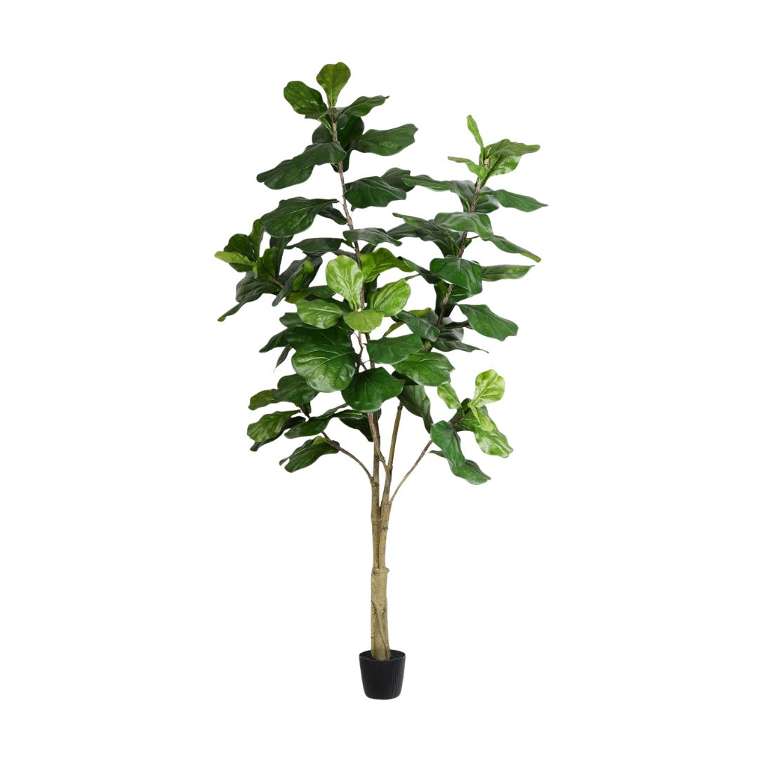 Birch Lane faux fiddle leaf fig tree in black pot