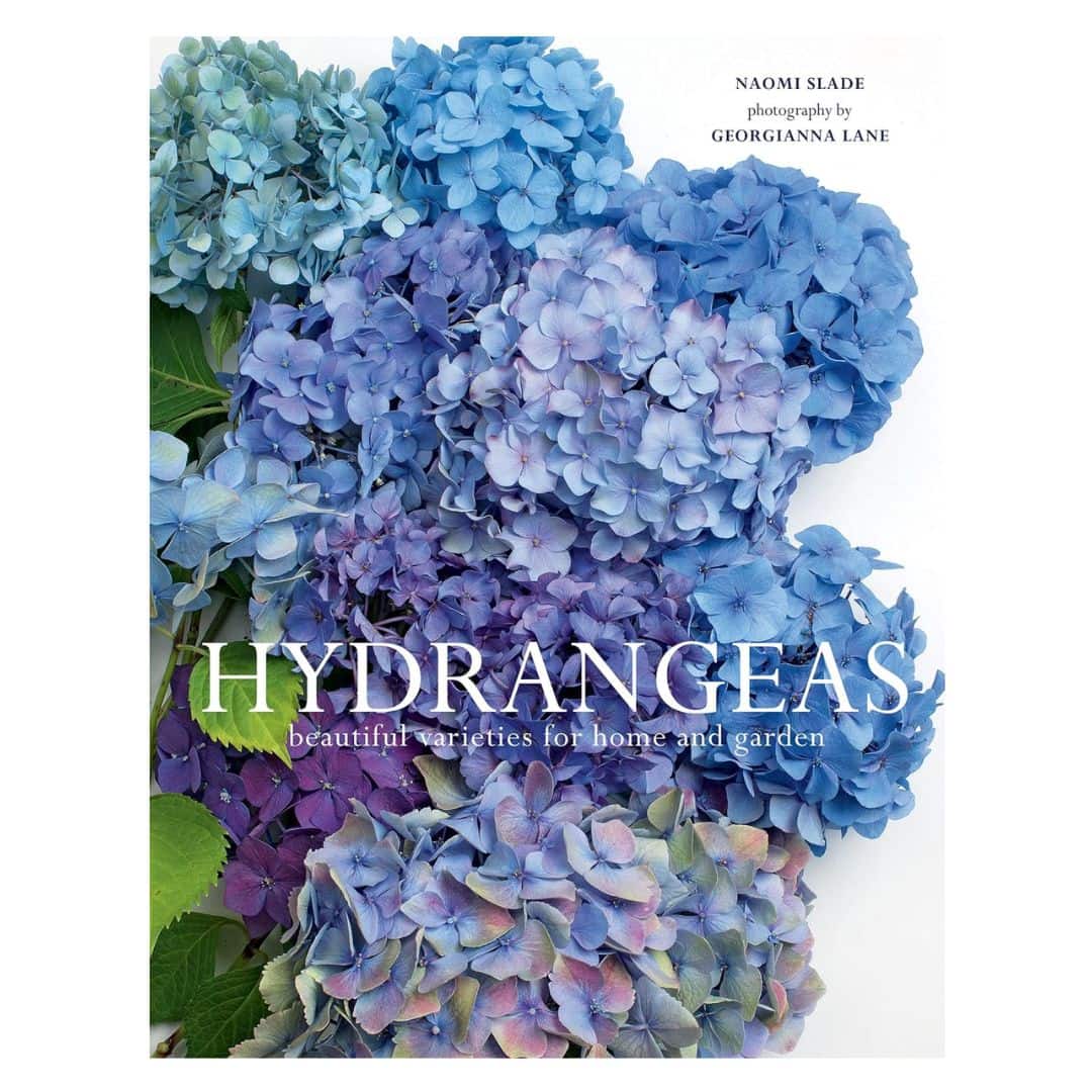 Hydrangeas Beautiful Varieties for Home and Garden book