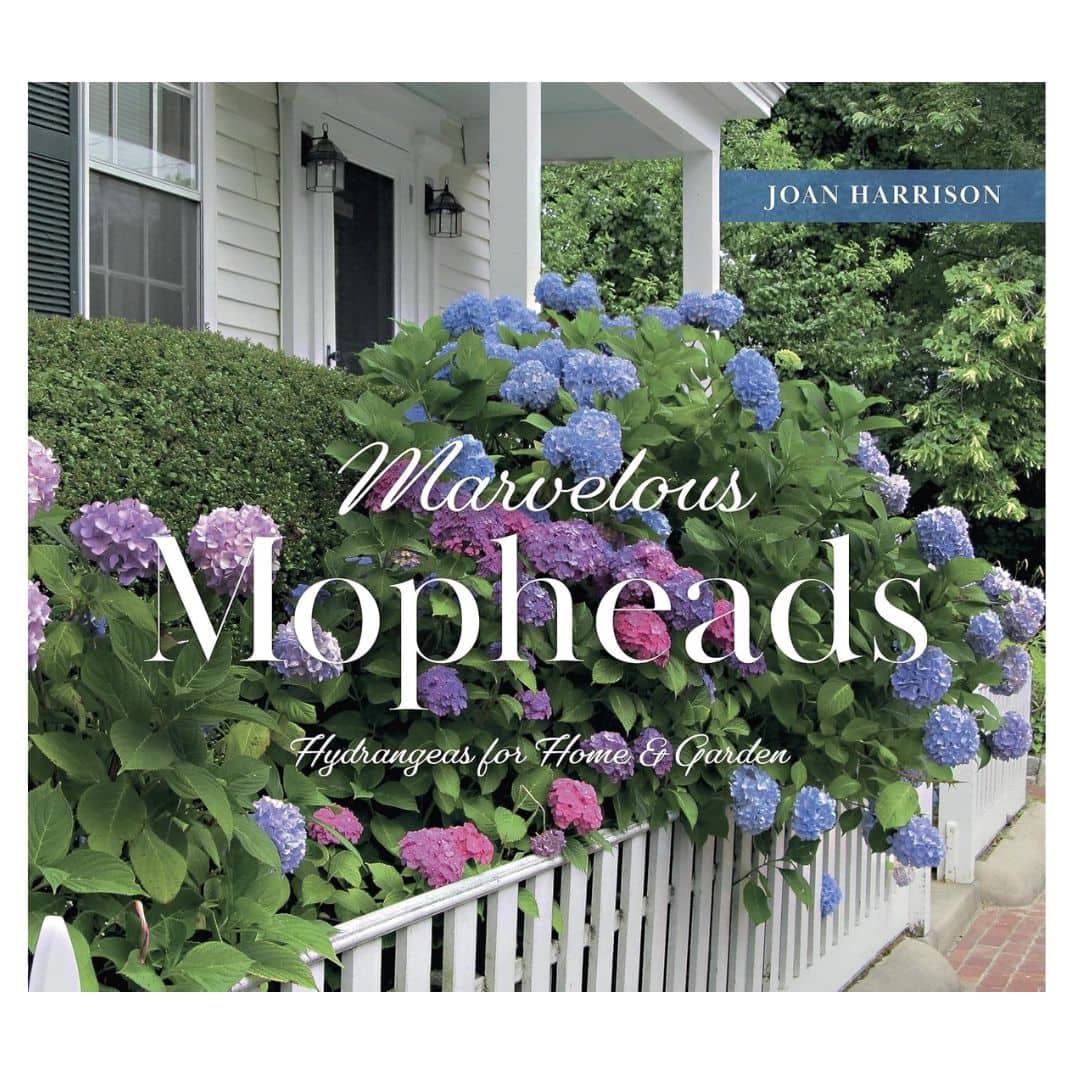 Marvelous Mopheads Hydrangeas for Home and Garden book
