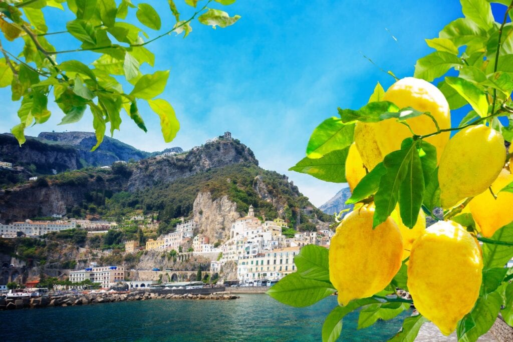 Lemons growing on a tree overlooking the Amalfi Coast in Italy