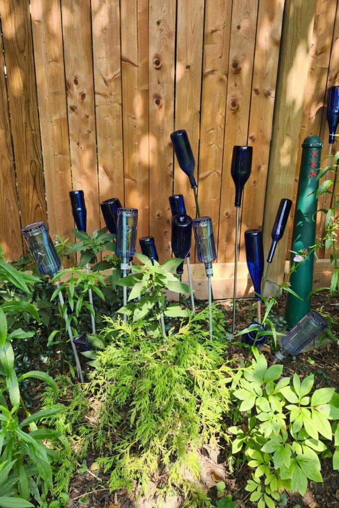 Blue glass wine bottles displayed on stakes among garden plants