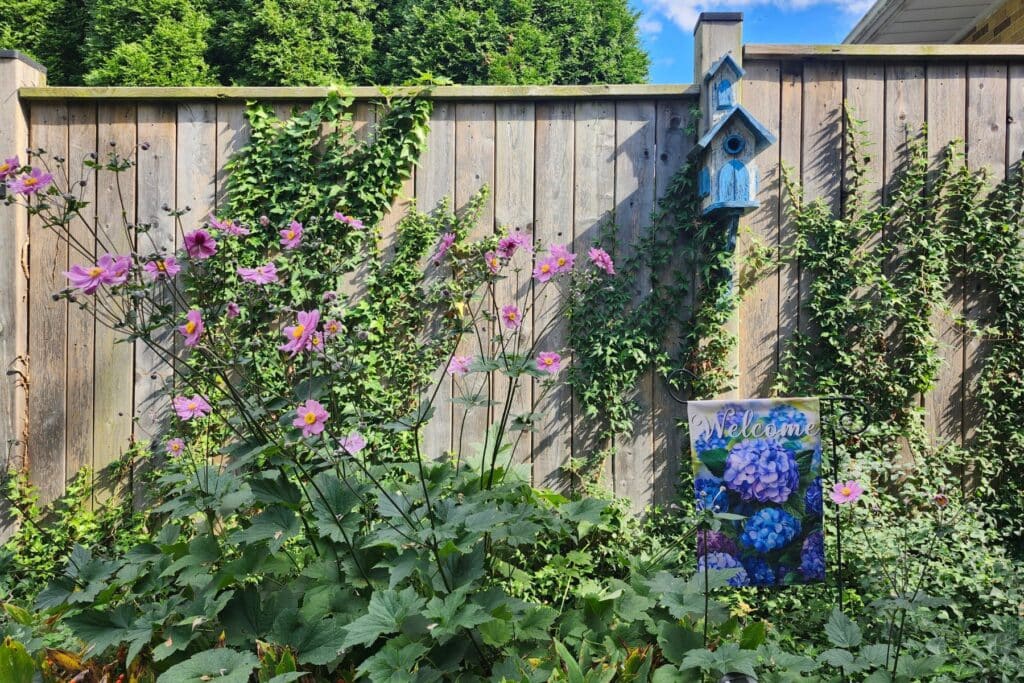 Blue birdhouse and hydrangea garden flag adding colour among pink flowers and green plants.