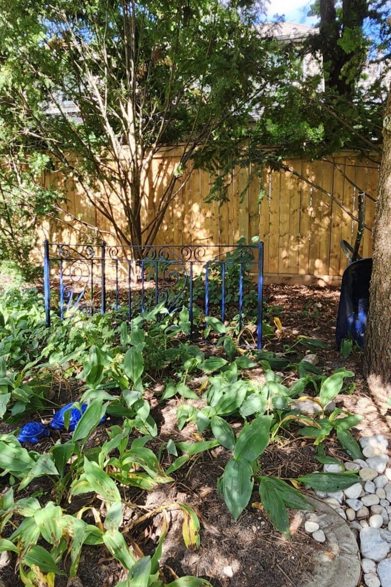 Repurposed blue metal railing incorporated into a shaded garden bed.