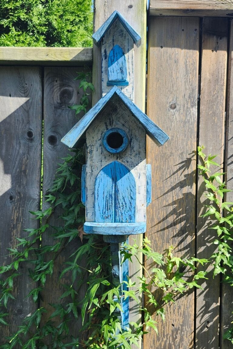Rustic wooden birdhouse with blue painted details against a garden fence.