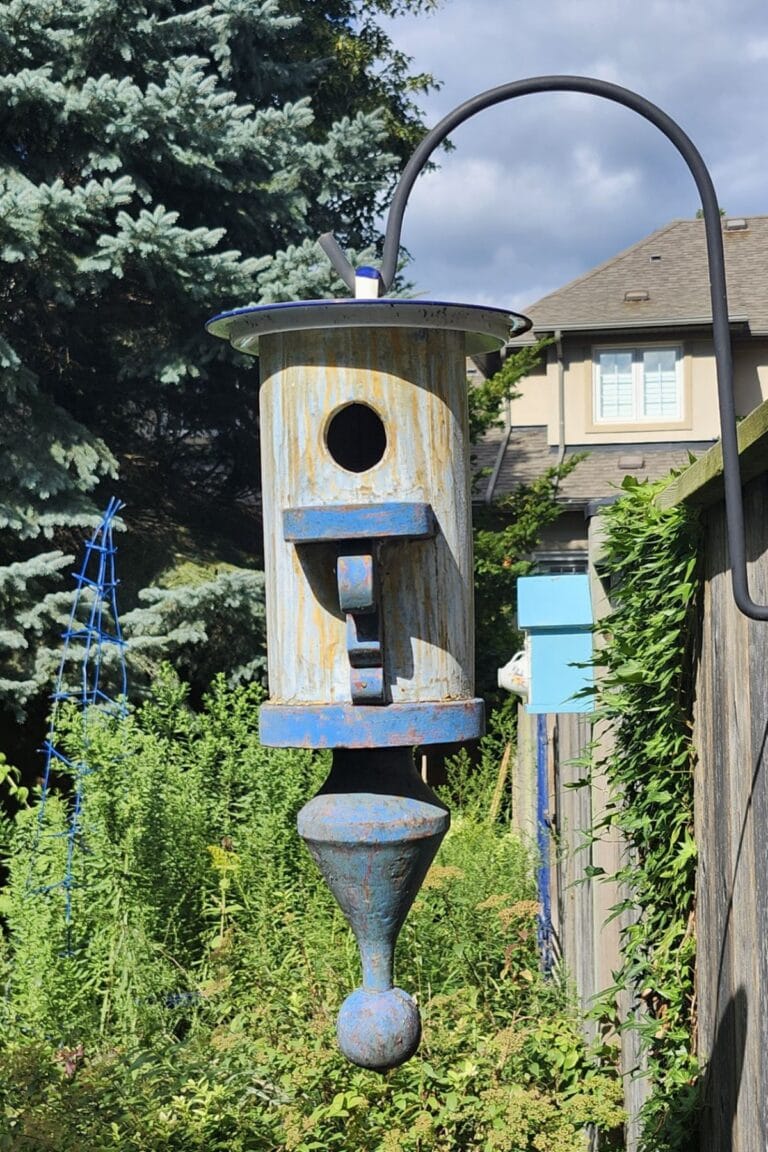 Weathered blue wooden birdhouse hanging among garden plants